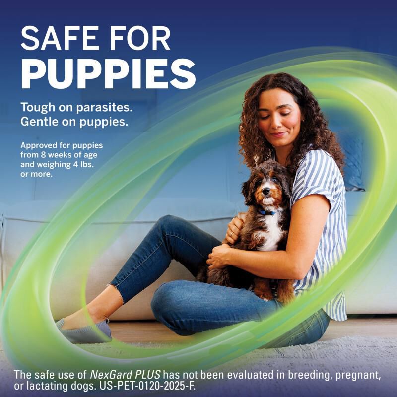 NexGard PLUS Chewables for Dogs 8.1-17 lbs Green 6 Month Supply