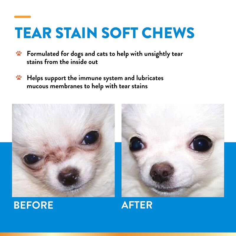NaturVet Tear Stain Supplement Plus Lutein Soft Chews for Dogs and Cats