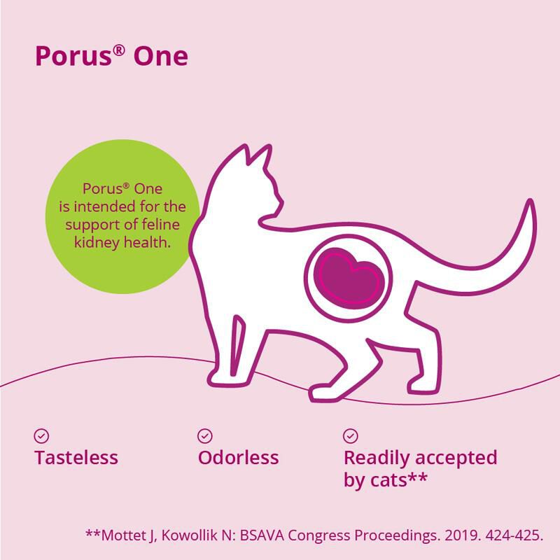 Porus One Kidney Support for Cats, 30 packets (500 mg each)
