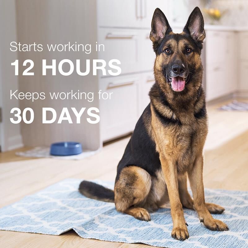 Advantage II for Dogs