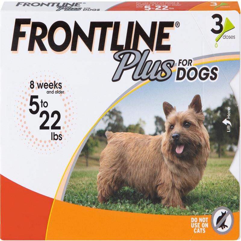 Frontline Plus for Dogs 5 to 22 lbs 3 Month Supply Orange