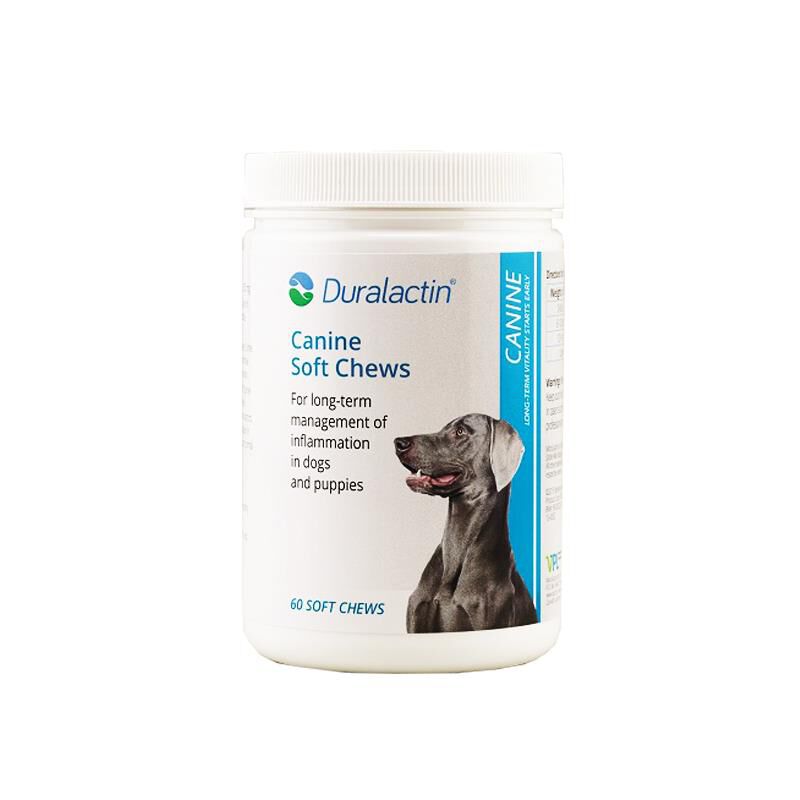 Duralactin Canine Soft Chews