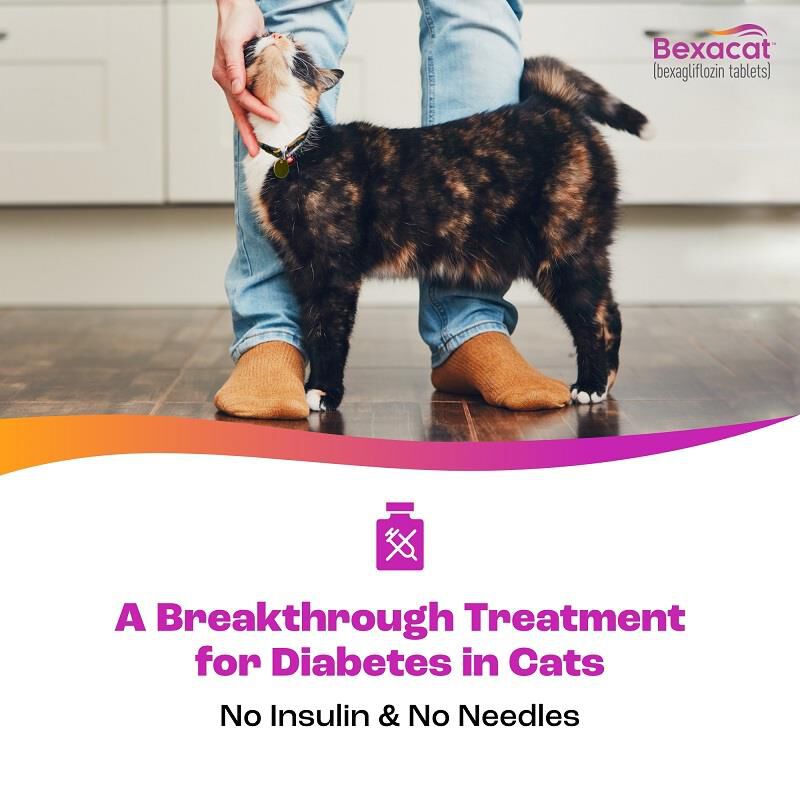 Bexacat (bexagliflozin tablets) for Cats 15 mg, 90 Ct.