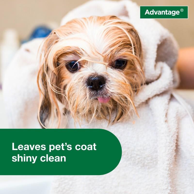 Advantage Treatment Shampoo for Dogs and Puppies, 24 oz