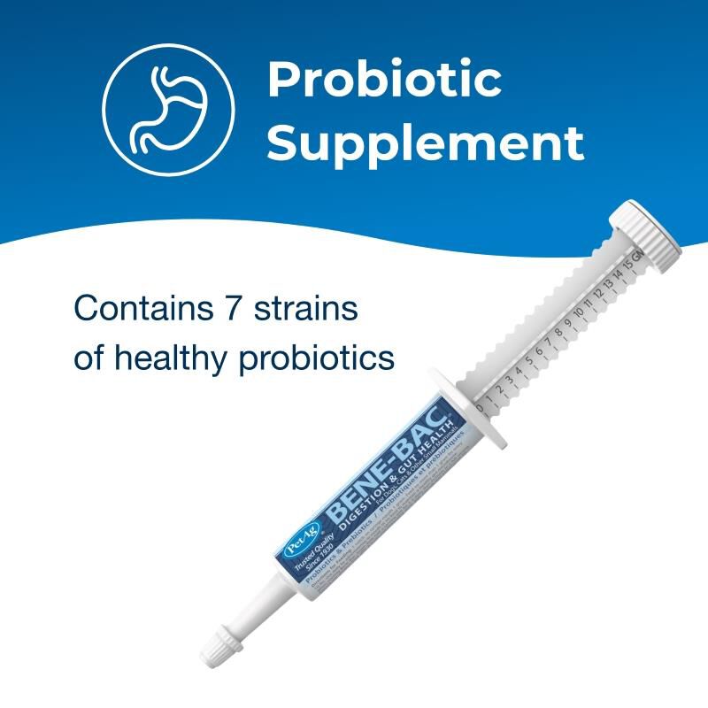 PetAg Bene-Bac Plus FOS & Probiotics Gel for Pets, 15 gm syringe