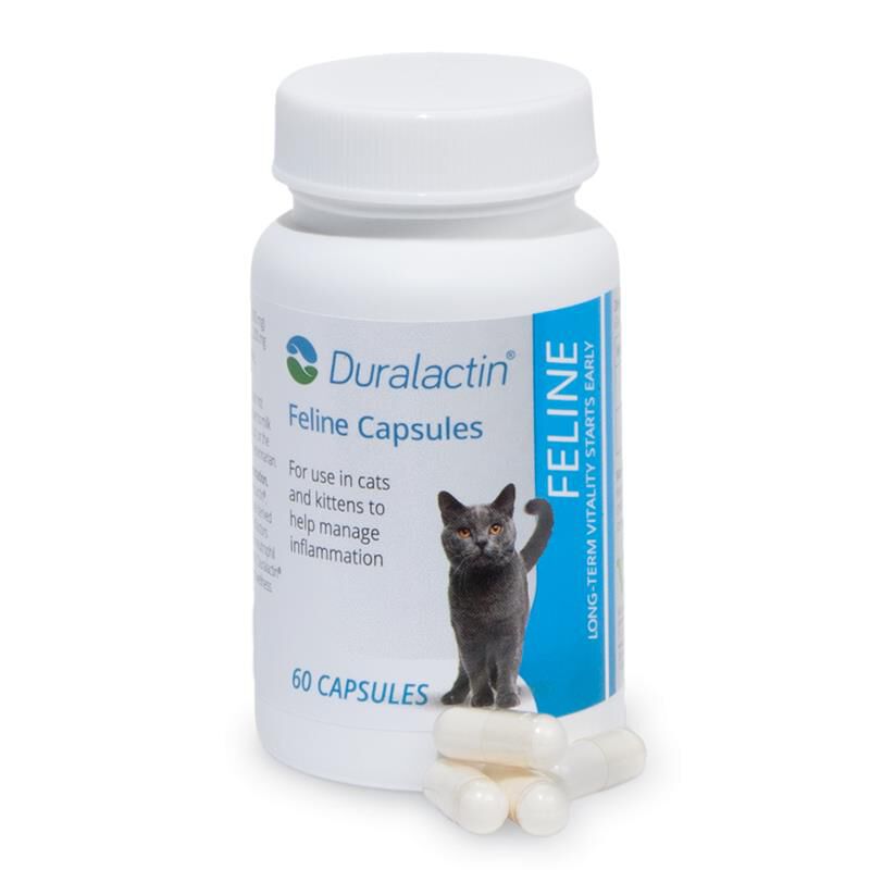 Duralactin Feline