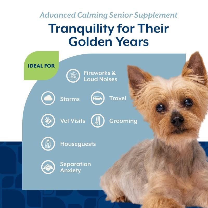 NaturVet Senior Advanced Calming Aid Soft Chews for Dogs 60 Ct.