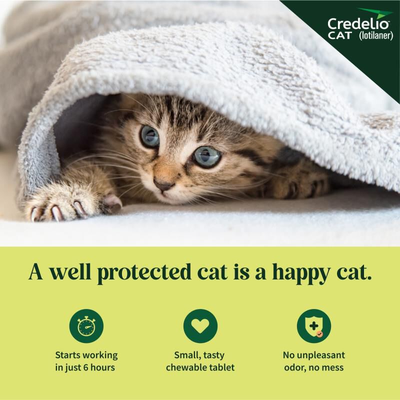 Credelio CAT Flea & Tick Chewable Tablets