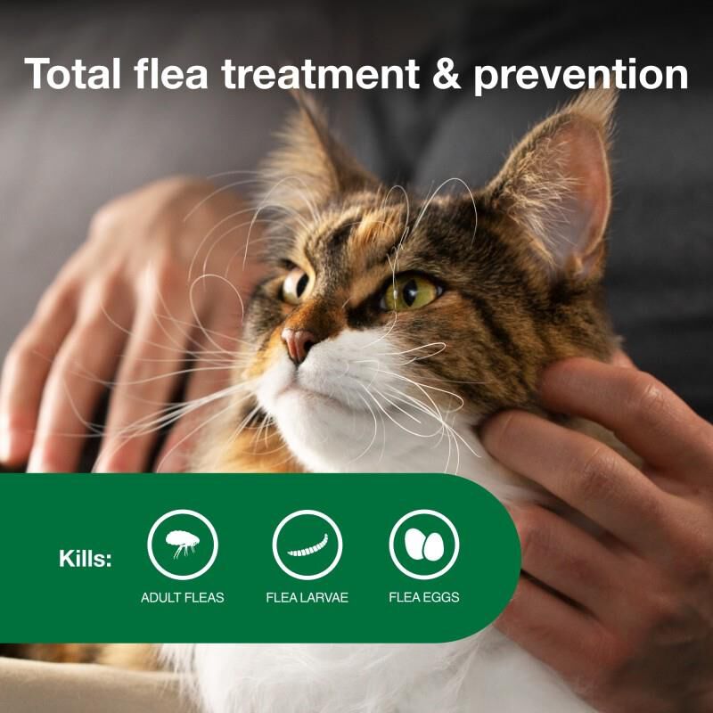 Advantage II for Cats over 9 lbs Purple, 2 Month Supply