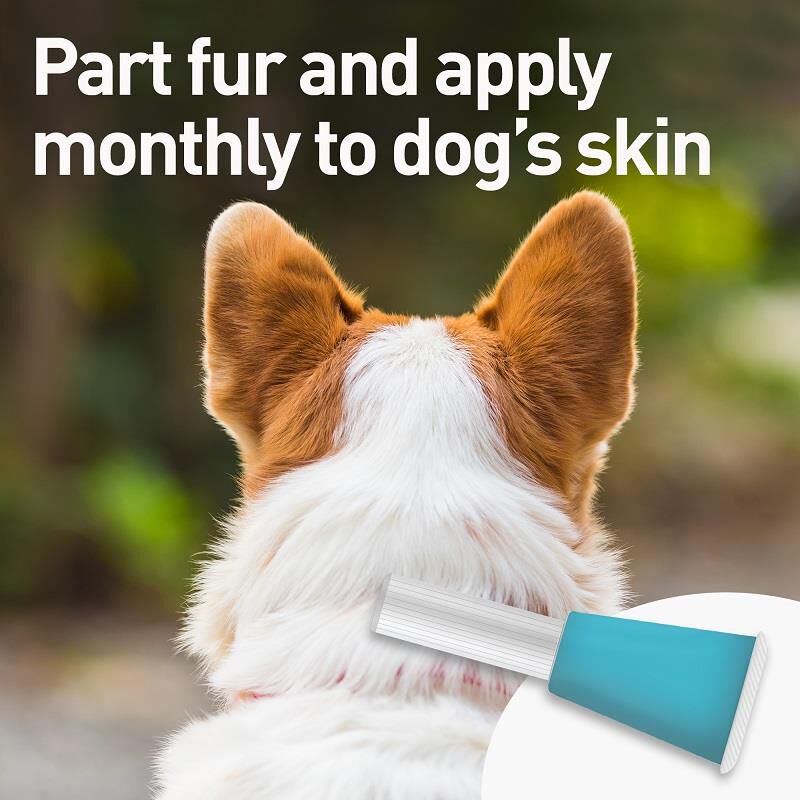 Advantage Multi Topical for Dogs