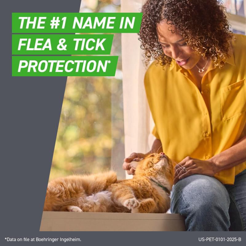 Frontline Plus for Cats 3 Month Supply