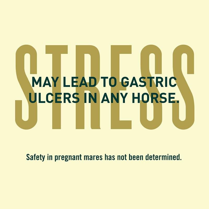 Merial UlcerGard for Horses to Prevent Ulcers, 0.22 ounces, 4 Doses