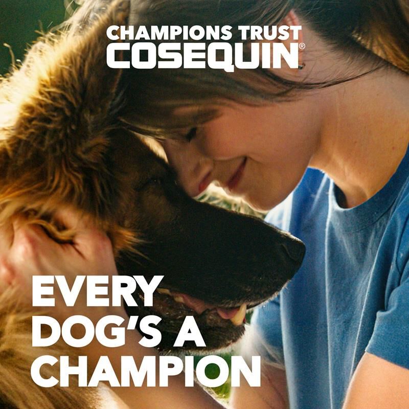 Cosequin Maximum Strength Plus MSM & HA for Dogs, 150 Chew Tabs