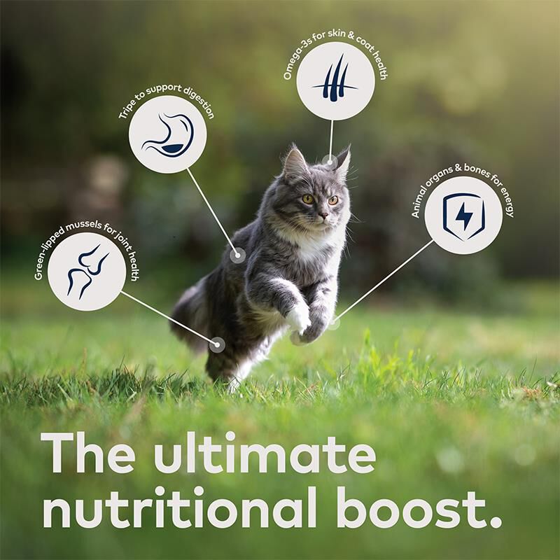 ZIWI Peak Wet Cat Food Variety Pack Venison, Chicken, and Lamb, 6 x 3 oz cans