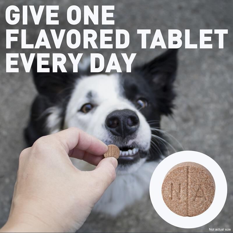 Deramaxx Chewable Tablets for Dogs 75 mg, 60 Ct.