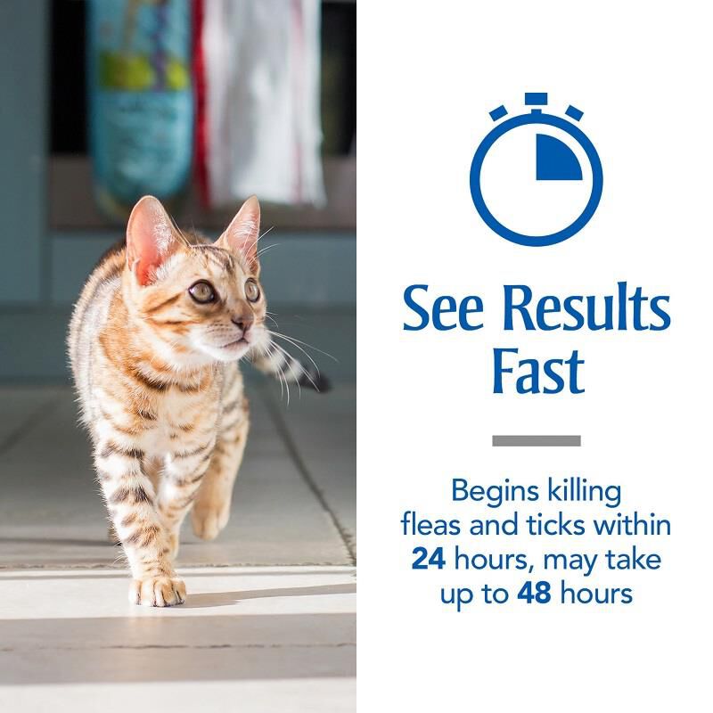 PetArmor Plus for Cats