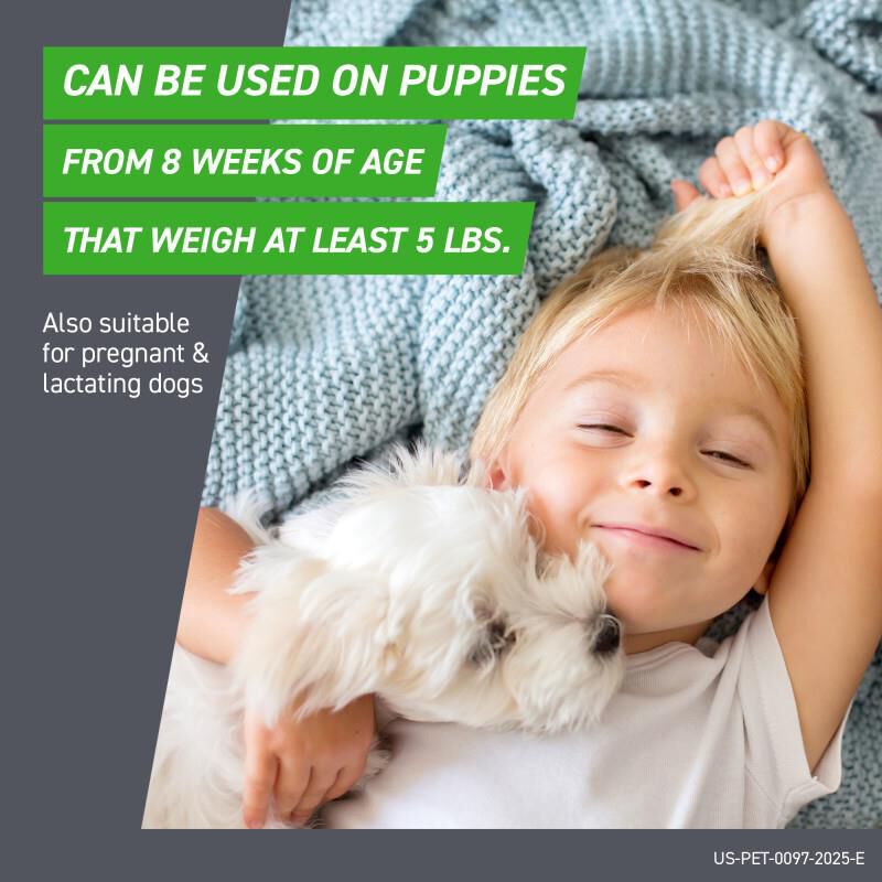 Frontline Plus for Dogs 45 - 88 lbs 3 Month Supply Purple