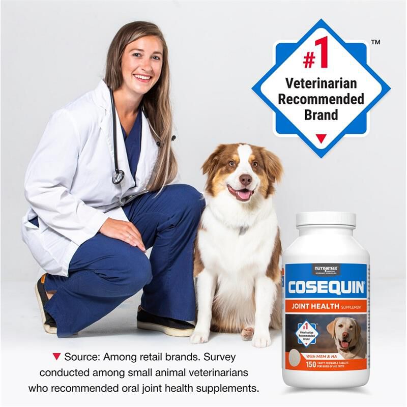 Cosequin Maximum Strength Plus MSM & HA for Dogs, 150 Chew Tabs
