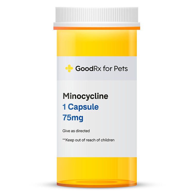 Minocycline 75 mg 1 Capsule