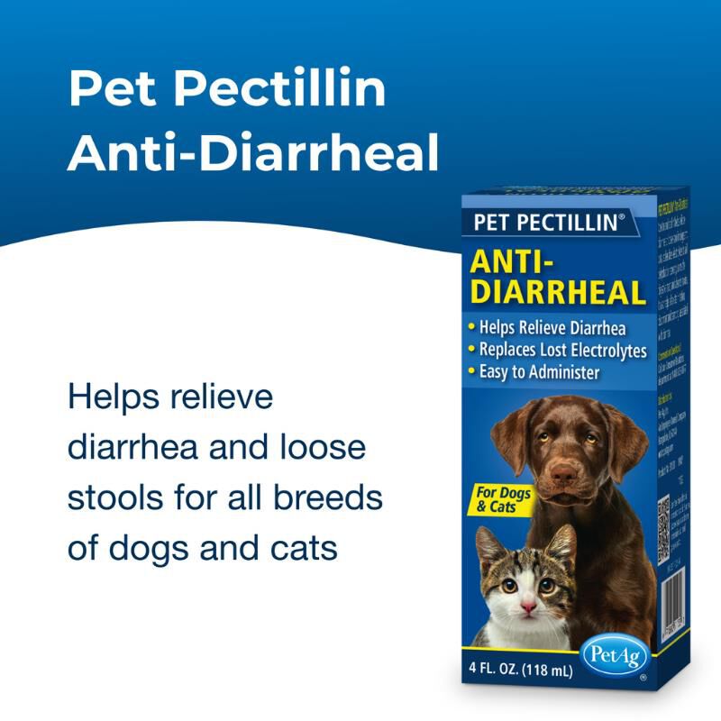 PetAG Pet Pectillin Anti-Diarrheal Medication for Dogs & Cats, 4 oz