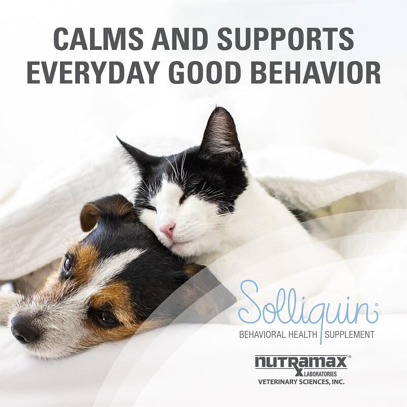 Solliquin Behavioral Health Supplement for Small to Medium Dogs and Large Cats, 75 Soft Chews