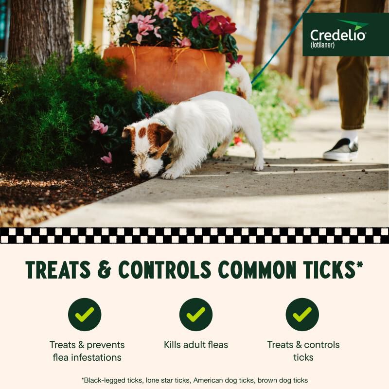 Credelio Flea & Tick Chewable Tablets for Dogs & Puppies, 6.1-12 lbs (112.50 mg) Pink, 1 Month Supply