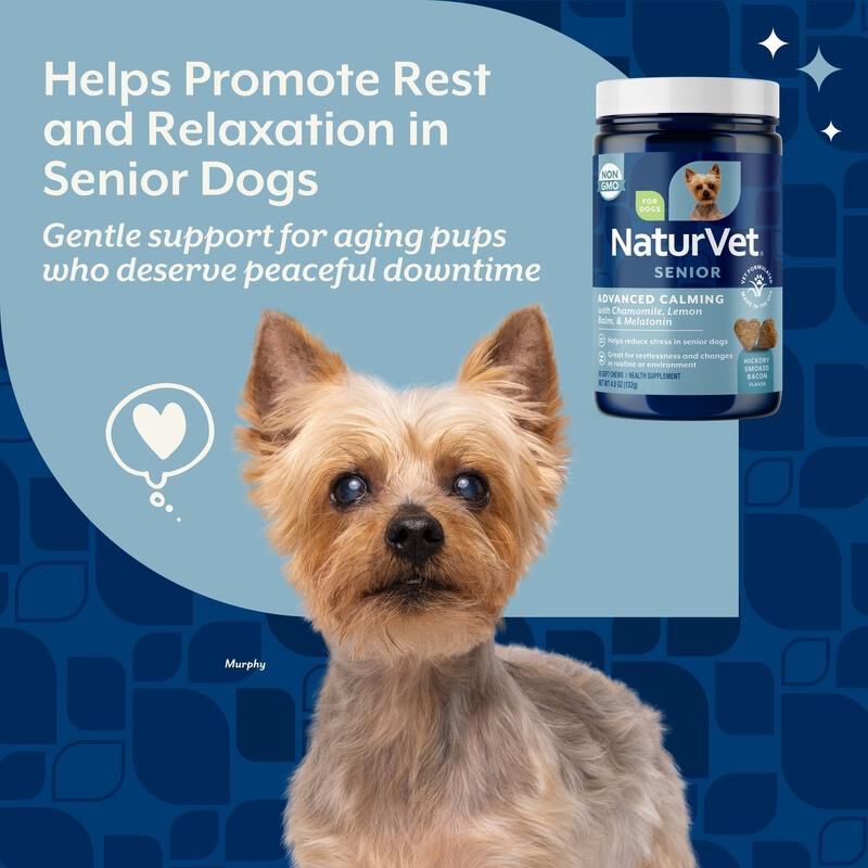 NaturVet Senior Advanced Calming Aid Soft Chews for Dogs 60 Ct.