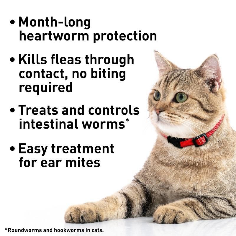 Advantage Multi for Cats