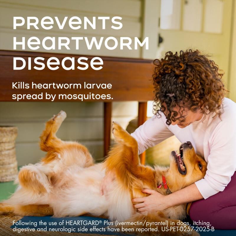 Heartgard Plus Chewable for Dogs 1-25 lbs Blue, 6 Month Supply