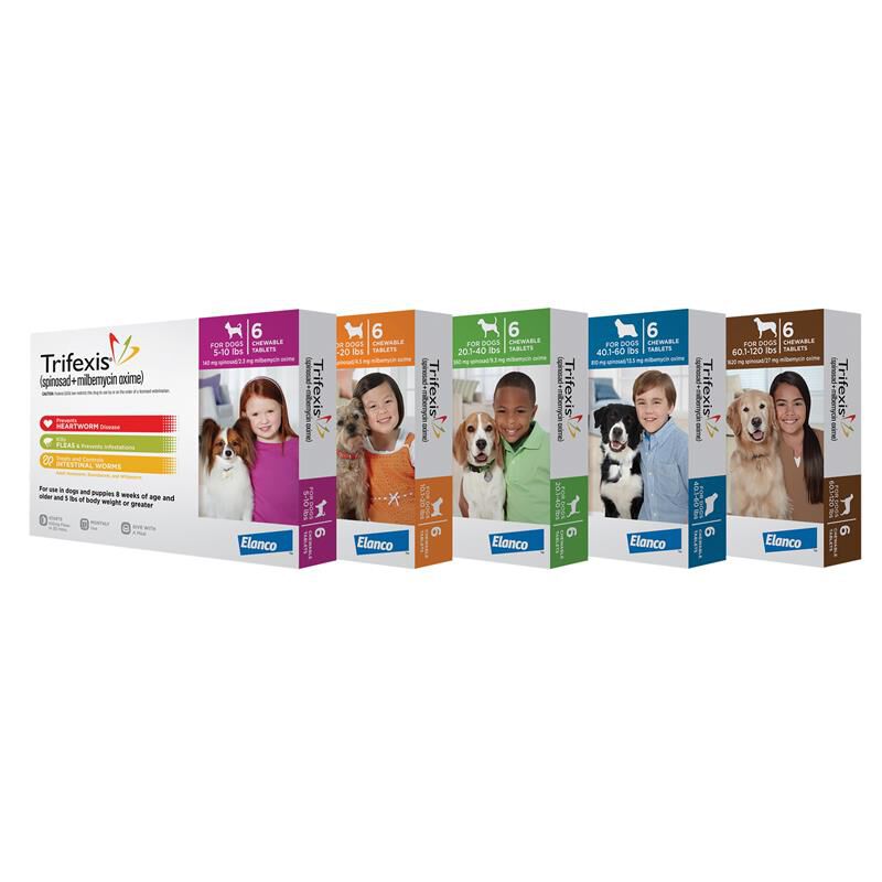 cuándo pueden los cachorros comenzar la trifexis