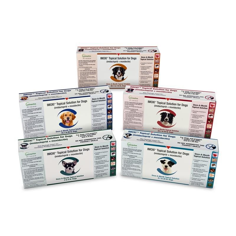 Imoxi Topical Solution for Dogs (imidacloprid + moxidectin) 6 pack