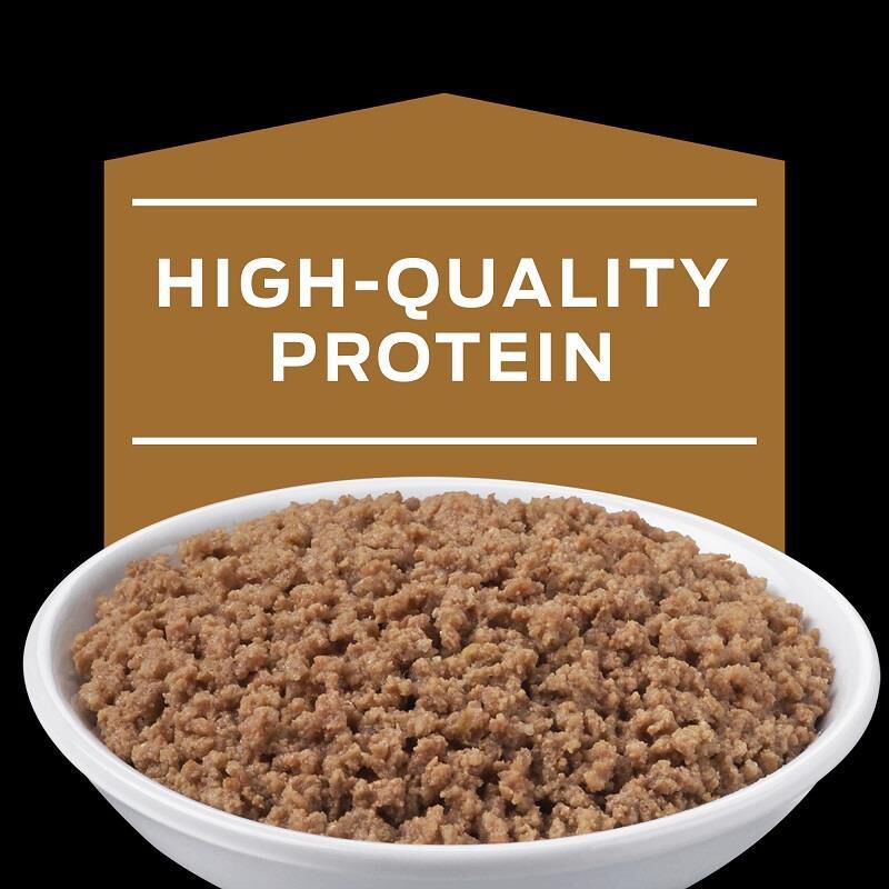 Purina Pro Plan Veterinary Diets NF Kidney Function Early Care Adult Cat Food, (24 X 5.5 oz) Cans