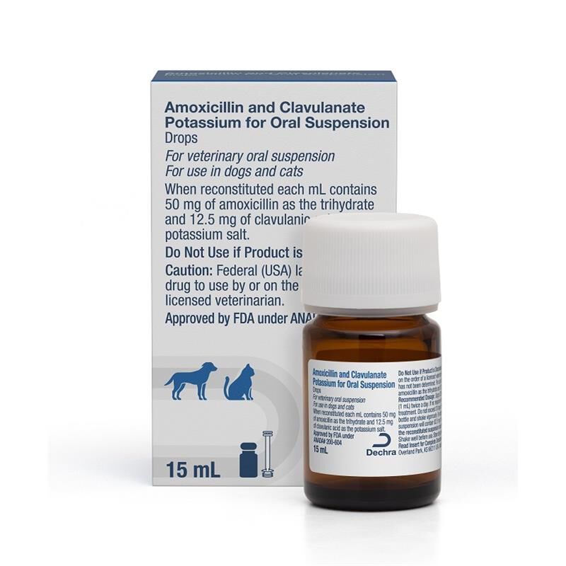 Clavacillin (Amoxicillin and Clavulanate Potassium) Oral Suspension Drops for Dogs and Cats, 15 ml