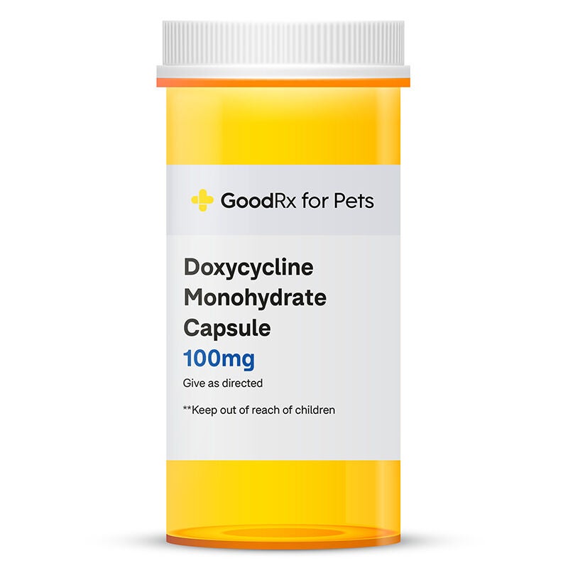 Doxycycline Monohydrate 100mg Capsule