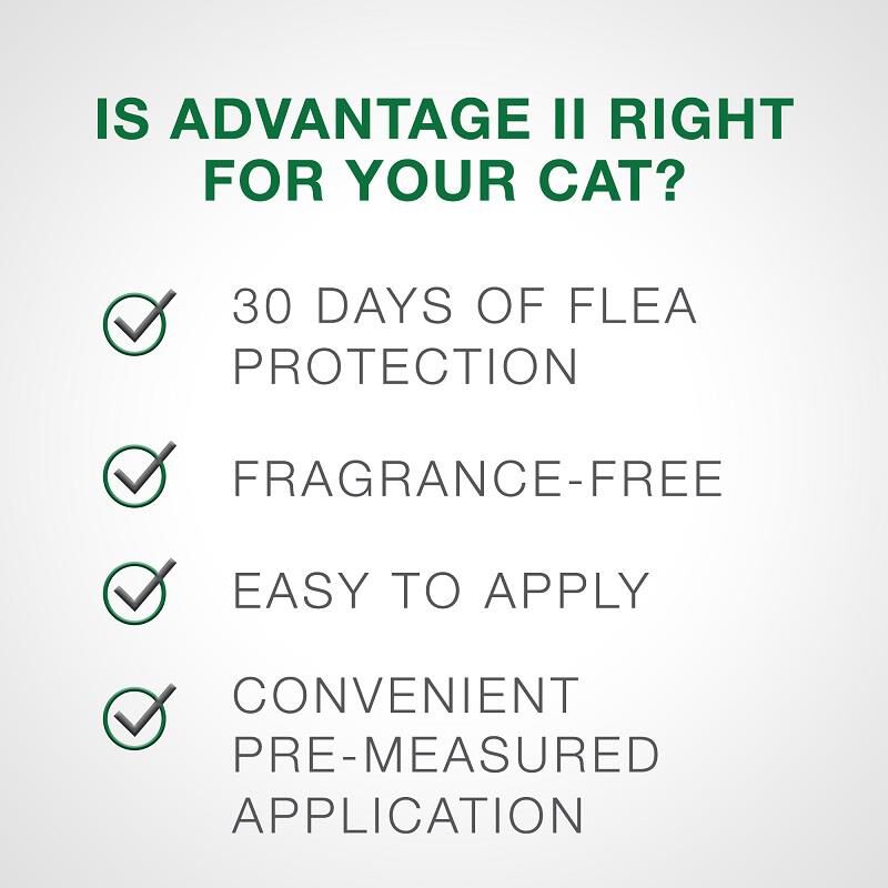 Advantage II for Cats
