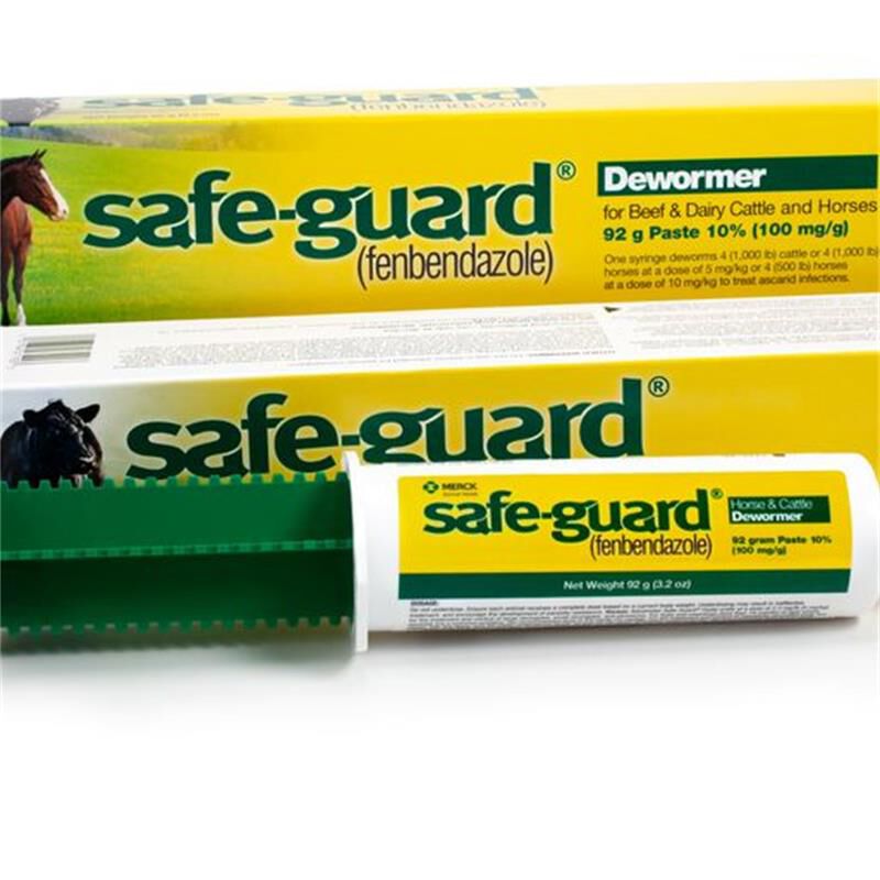 Safe-Guard paste 10% 92 gm