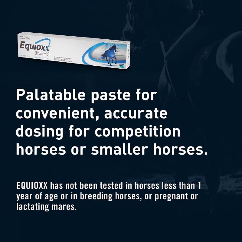 Equioxx Oral Paste