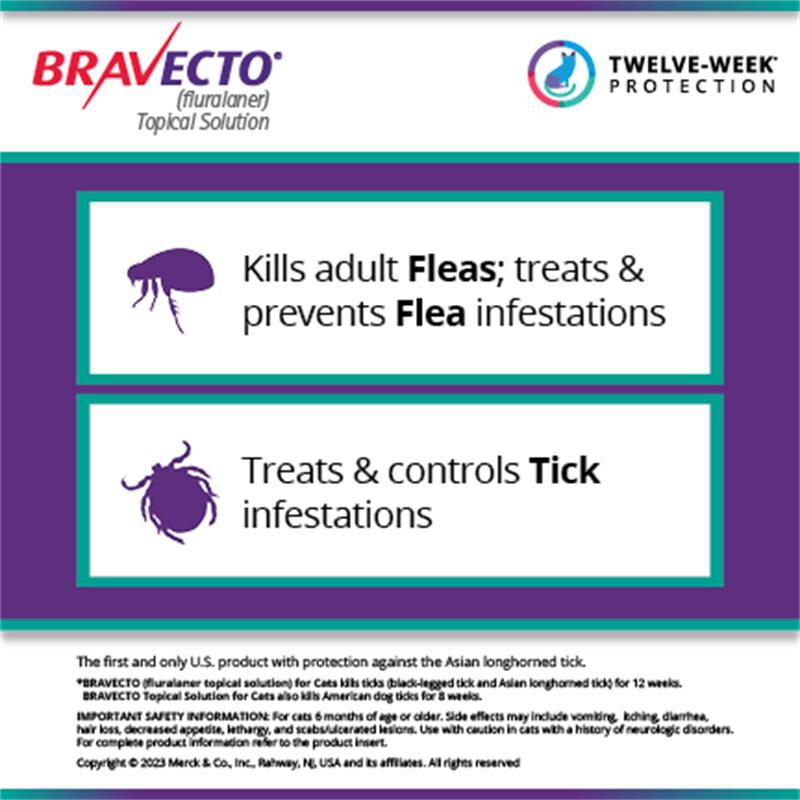 Bravecto Topical Solution for Cats