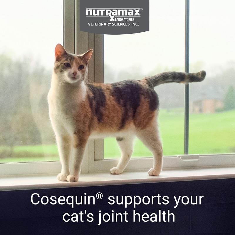 Cosequin Maximum Strength Joint Health Supplement for Cats, 30 Sprinkle Capsules