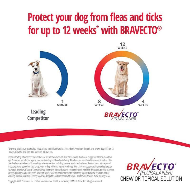 Bravecto Topical Solution for Dogs