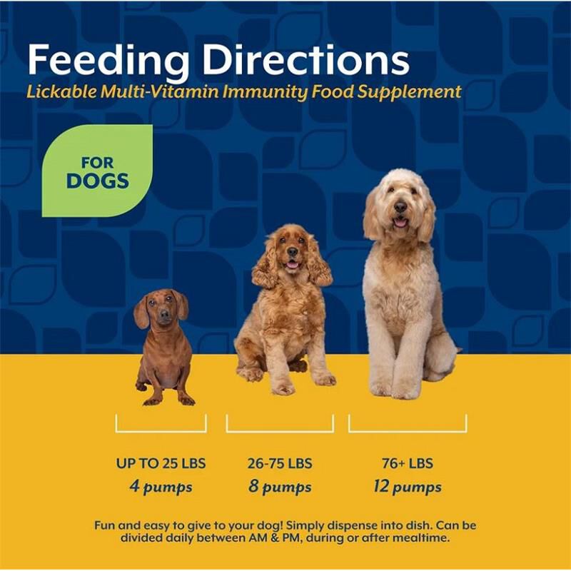 NaturVet Lickable Multi-Vitamin Immunity Food Supplement for Dogs, Peanut Butter Flavor, 6.4 fl oz