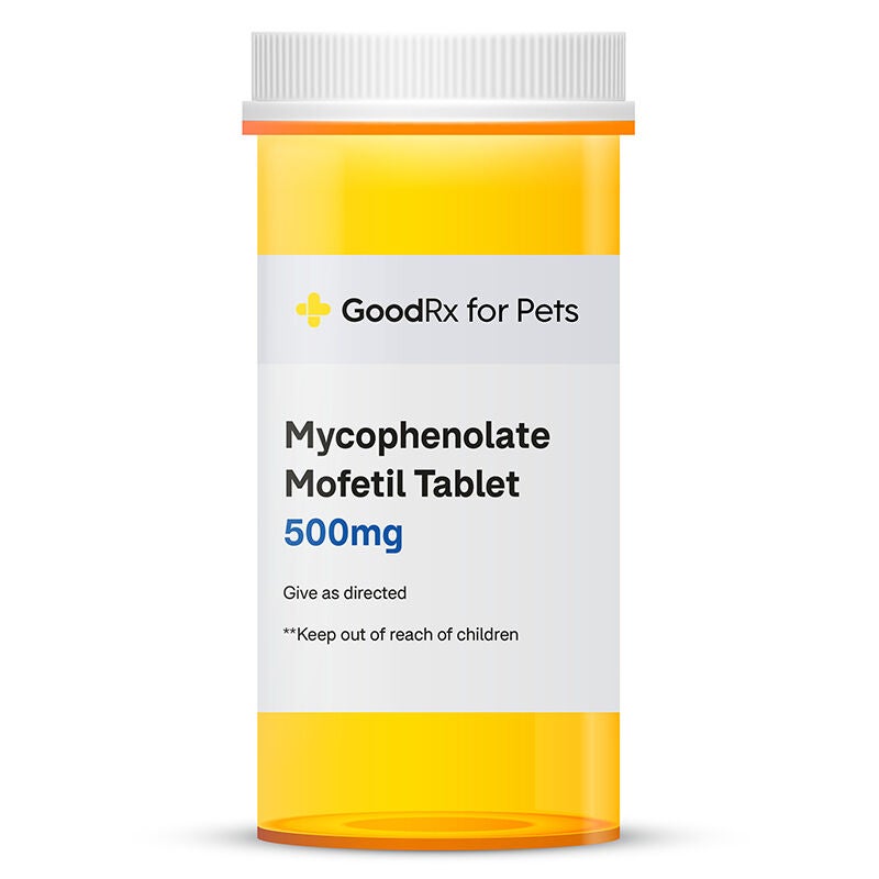 Mycophenolate Mofetil 500 mg Tablet