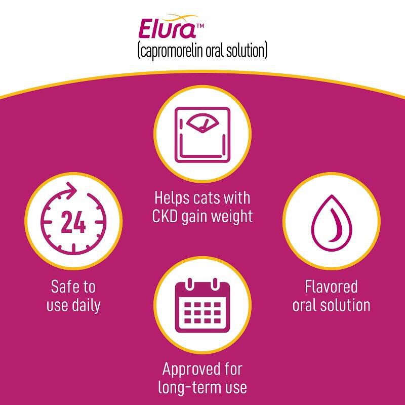 Elura (capromorelin oral solution) 20 mg/mL for Cats, 15 ml