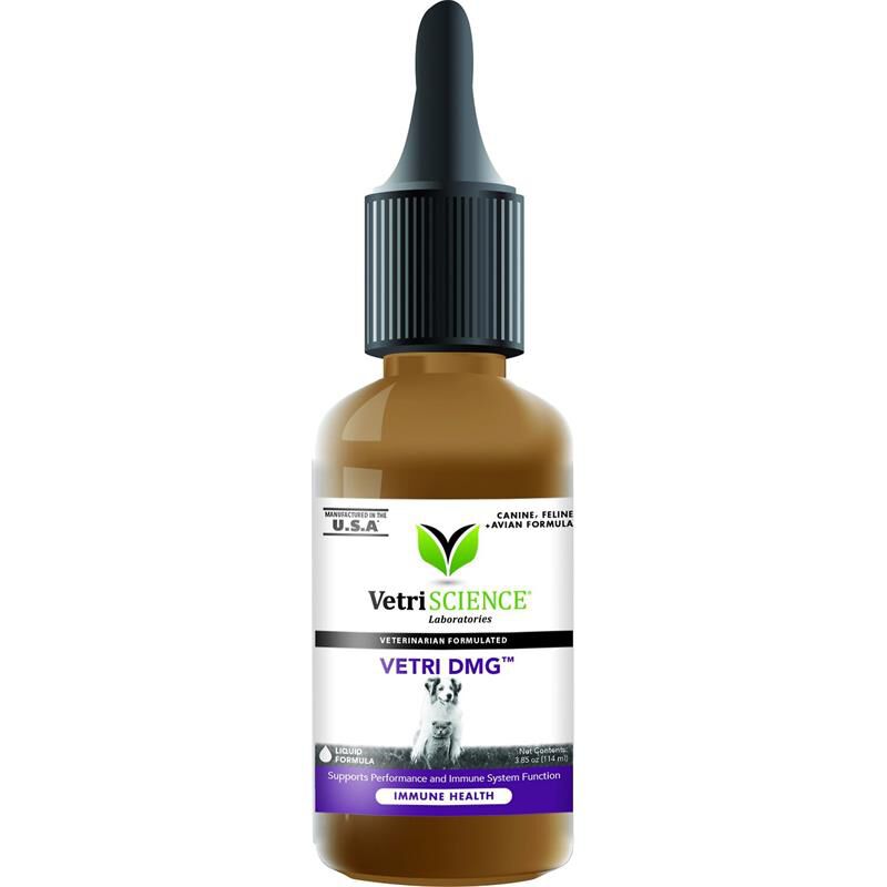 VetriScience Immunity Health Vetri-DMG Liquid, 114 ml