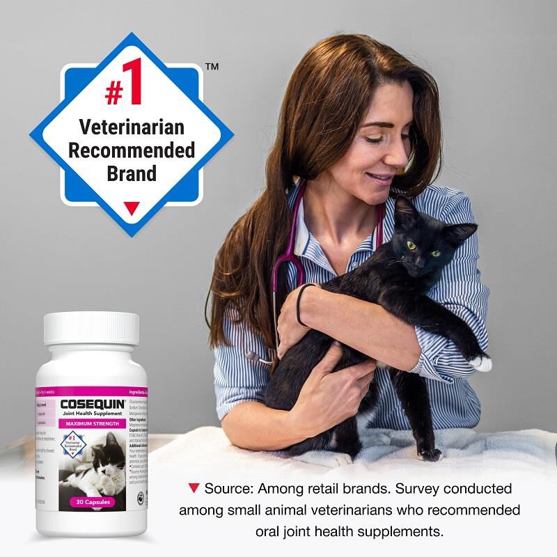 Cosequin Maximum Strength Joint Health Supplement for Cats, 30 Sprinkle Capsules