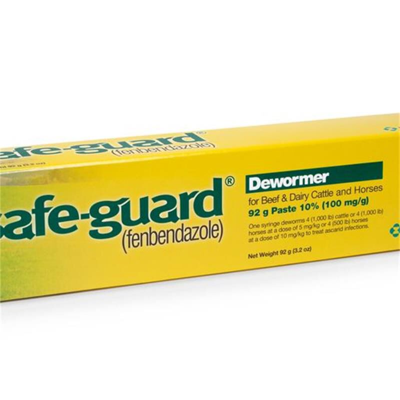 Safe-Guard paste 10% 92 gm