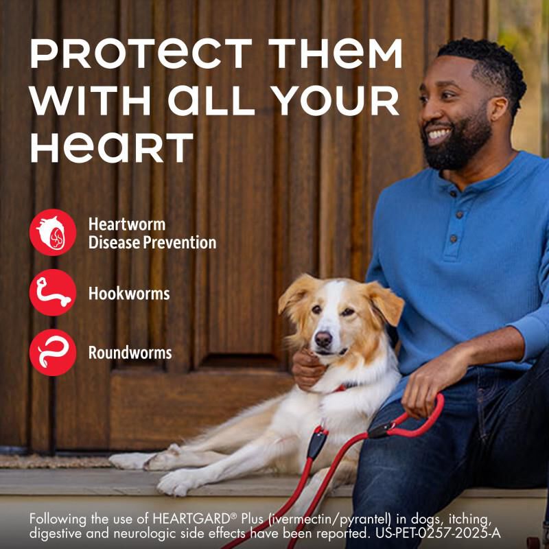 Heartgard Plus Chewable for Dogs 1-25 lbs Blue, 6 Month Supply