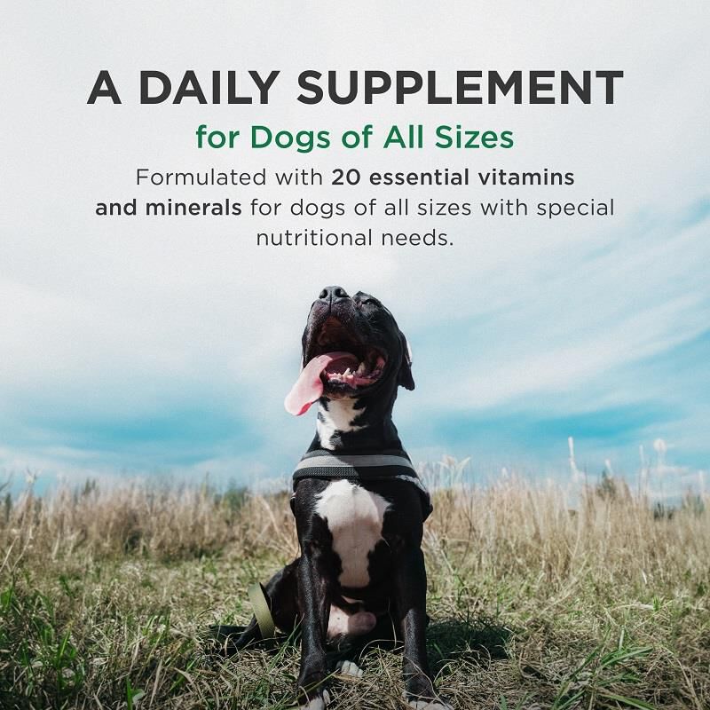 Pet-Tabs Plus