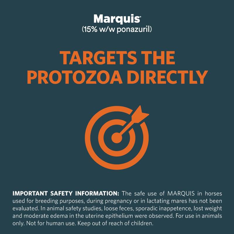 Marquis (15% w/w ponazuril) Antiprotozoal Oral Paste for Horses, 127 gm