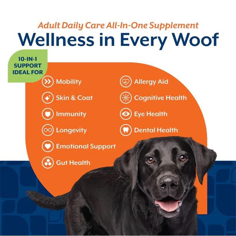 NaturVet Adult Dog Daily Care All-In-One Supplement with 10-in-1 Support, Hickory Smoked Bacon Flavor, 60 Soft Chews